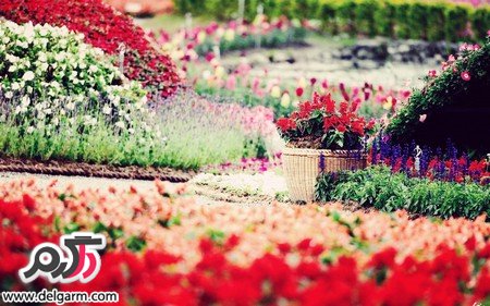 عکس‌هایی از مناظر طبیعی و زیبا