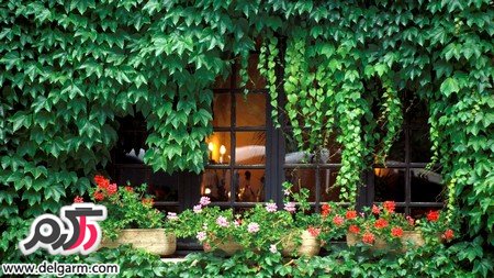 عکس‌هایی از مناظر طبیعی و زیبا