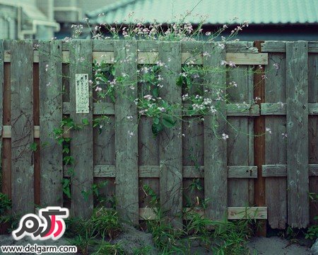 عکس‌هایی از مناظر طبیعی و زیبا