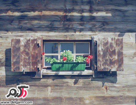 عکس‌هایی از مناظر طبیعی و زیبا