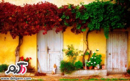 عکس‌هایی زیبا از فصل بهار با گل‌های صورتی
