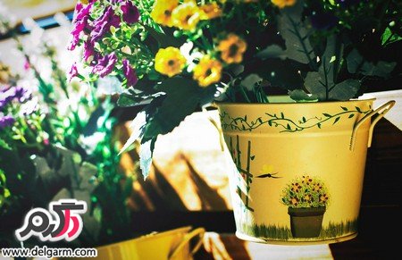 عکس‌هایی زیبا از فصل بهار با گل‌های صورتی