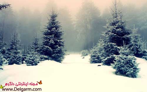 عکس زمستان برفی و رمانتیک