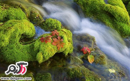 تصاویری از مناظر زیبا و جذاب