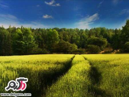 تصاویر زیبای طبیعت در سطح جهانی