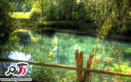 تصاویر زیبای طبیعت در سطح جهانی