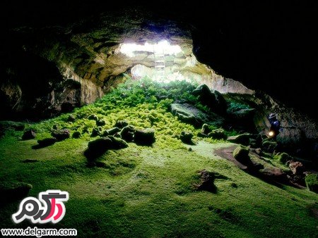 تصاویر زیبای طبیعت در سطح جهانی