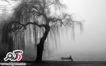 تصاویر زیبای طبیعت در سطح جهانی