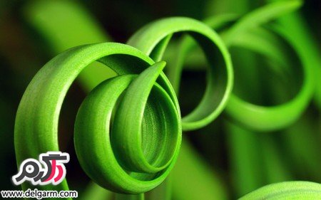 تصاویری از زیبایی‌های طبیعی دنیا