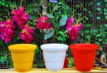 مزایای گلدان پلاستیکی چیست؟ (2 نکته مهم)