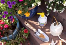 چه کودی برای چه گلی مناسبه؟ (2 نکته مهم)