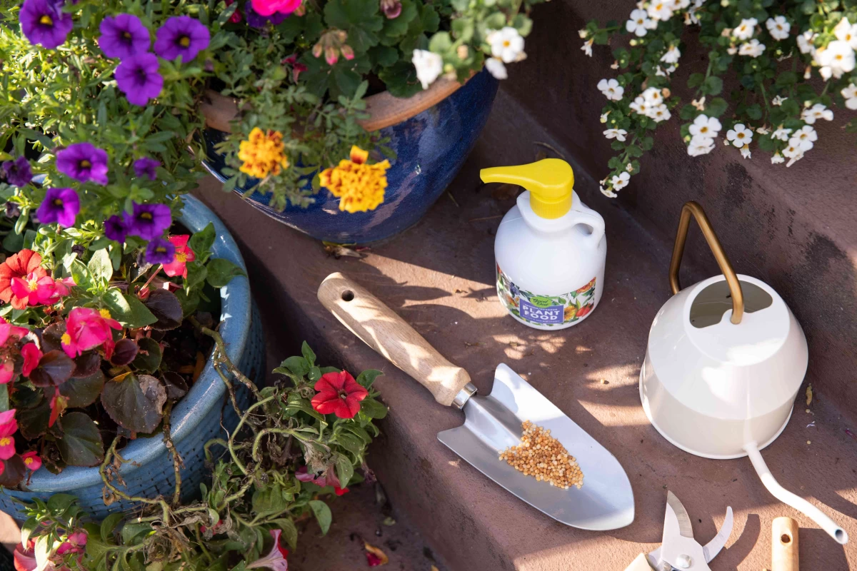 چه کودی برای چه گلی مناسبه؟ (2 نکته مهم) چه کودی برای چه گلی مناسبه؟ (2 نکته مهم)