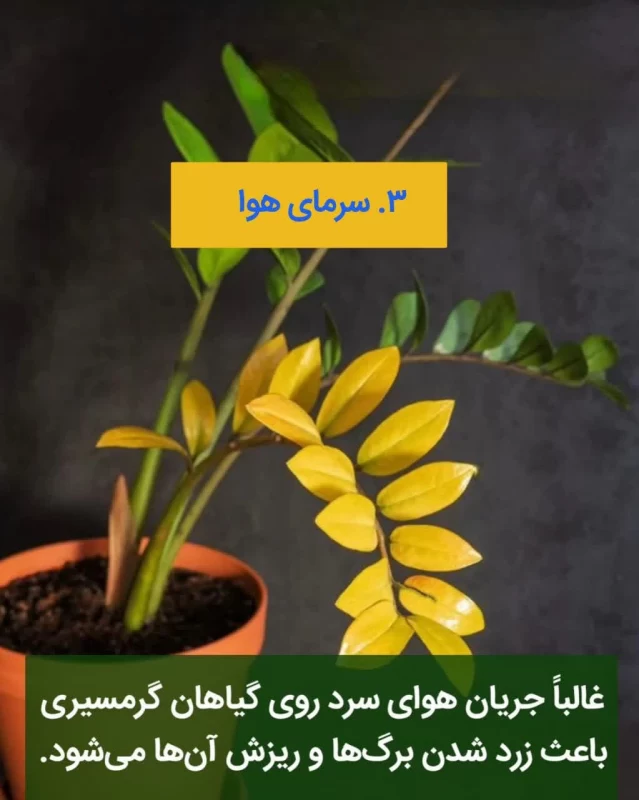 ابیاری نامناسب گیاهان