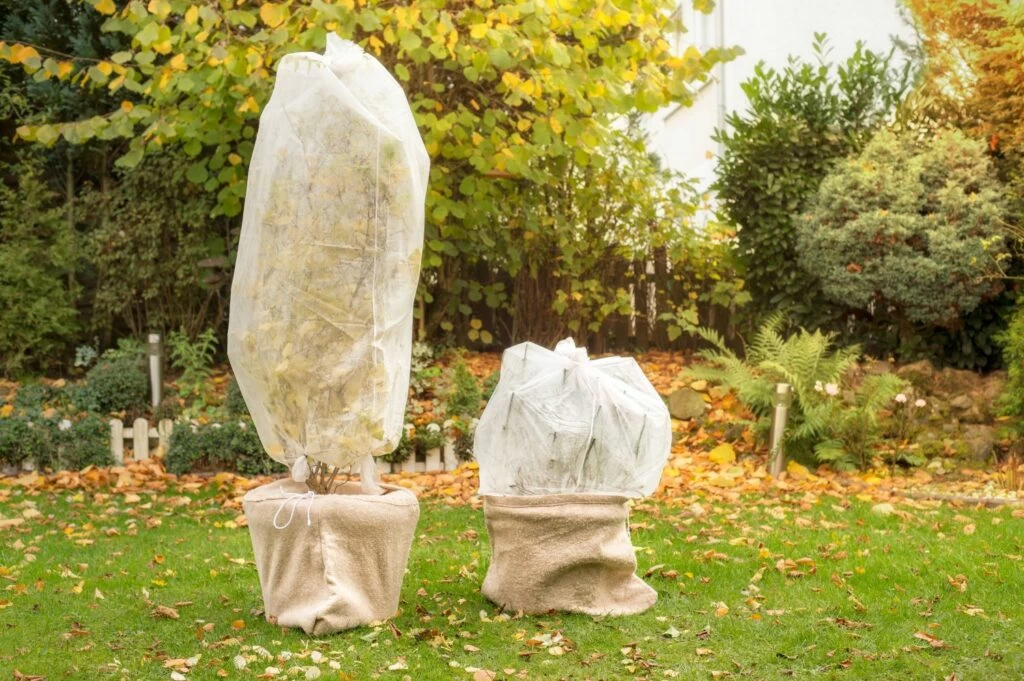 مزایای استفاده از کاور گیاهان و روش ساخت کاور گیاه پلاستیکی (2 نکته مهم) مزایای استفاده از کاور گیاهان و روش ساخت کاور گیاه پلاستیکی (2 نکته مهم)