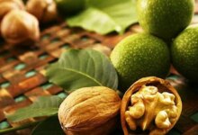 پوست گردو چگونه به تقویت خاک کمک می‌ کند؟ (2 نکته مهم)
