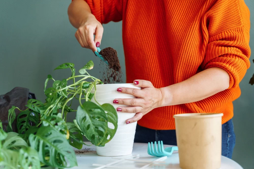 ویژگی خاک مناسب برای گیاهان