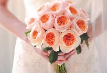 نحوه کاشت و نگهداری رز ژولیت گران ترین گل دنیا ! (2 نکته مهم)