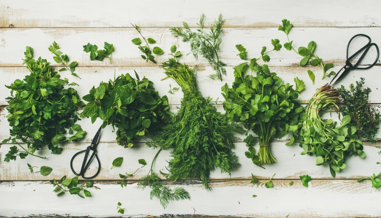 نکاتی برای جلوگیری از آفات و بیماری ها