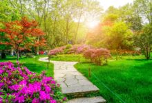 معرفی گیاهان سازگار با محیط، برای ویلاهای شمال ایران (2 نکته مهم)
