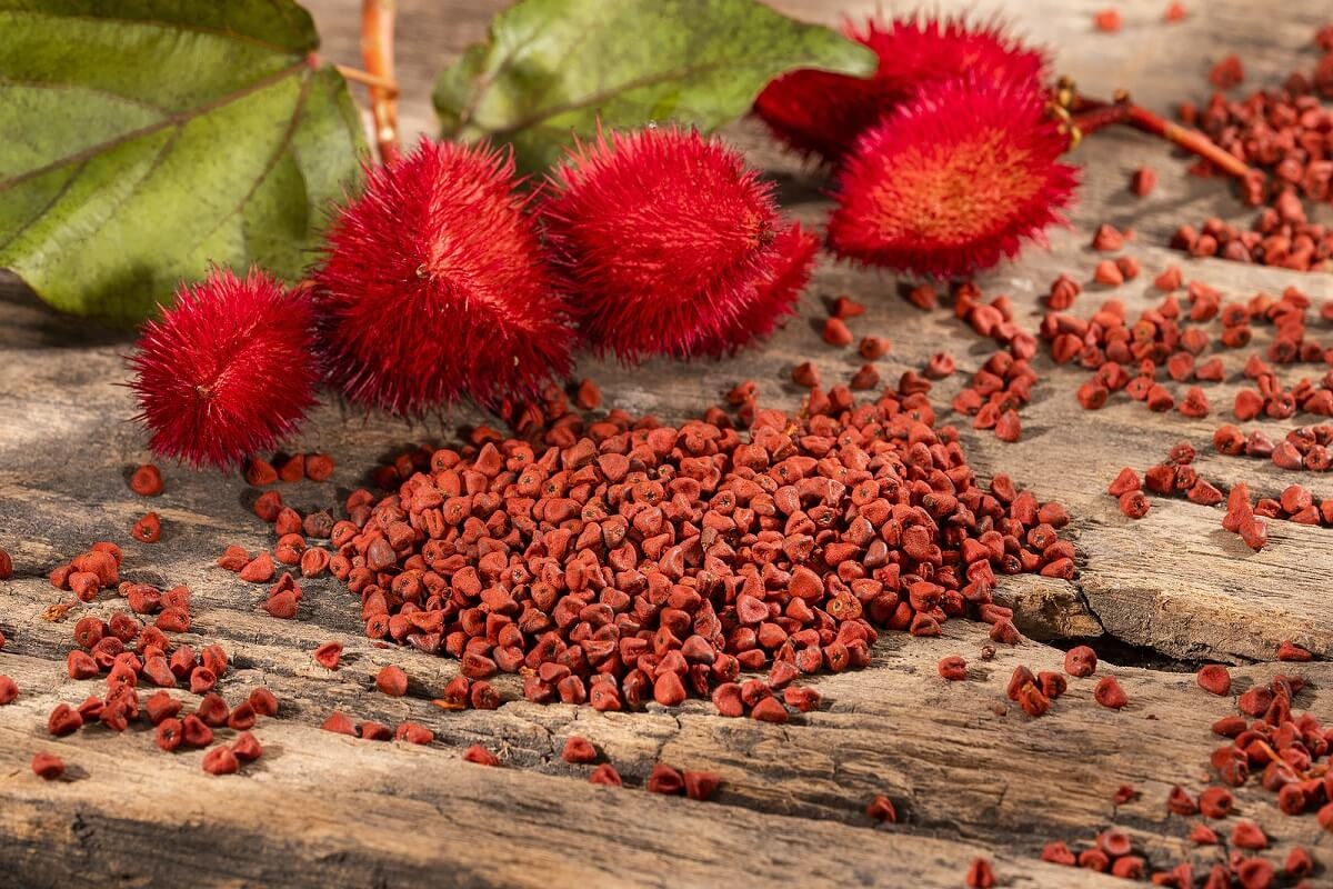 معرفی و راهنمای پرورش میوه آناتو