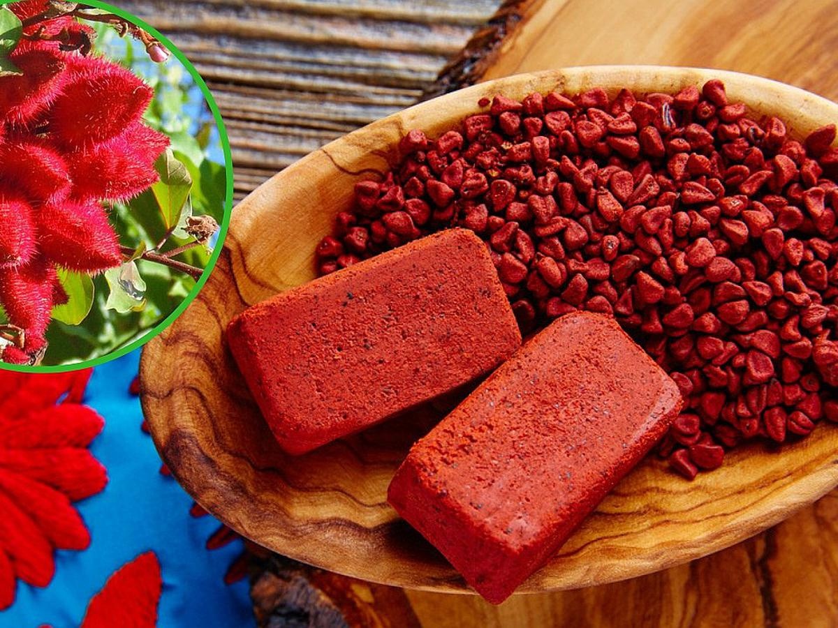 نحوه تکثیر و عوارض درخت آناتو