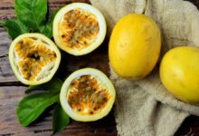 نحوه کاشت و پرورش میوه گرنادیلا طلایی (پشن فروت) (2 نکته مهم)