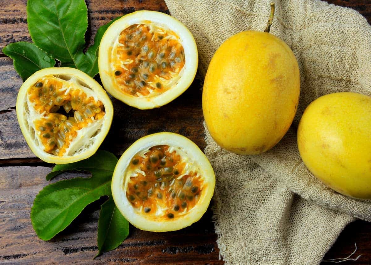 نحوه کاشت و پرورش میوه گرنادیلا طلایی (پشن فروت) (2 نکته مهم) نحوه کاشت و پرورش میوه گرنادیلا طلایی (پشن فروت) (2 نکته مهم)