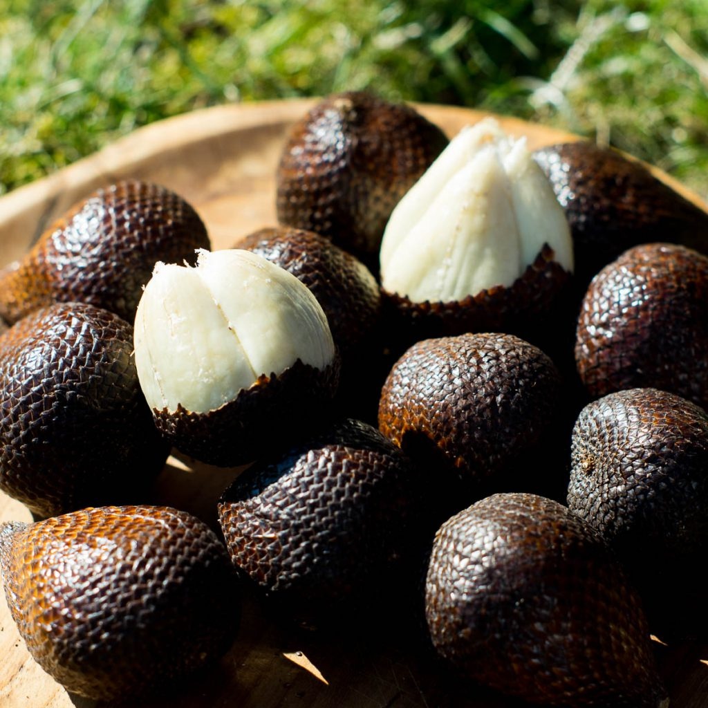 پرورش گیاه سالاک (پوست ماری)
