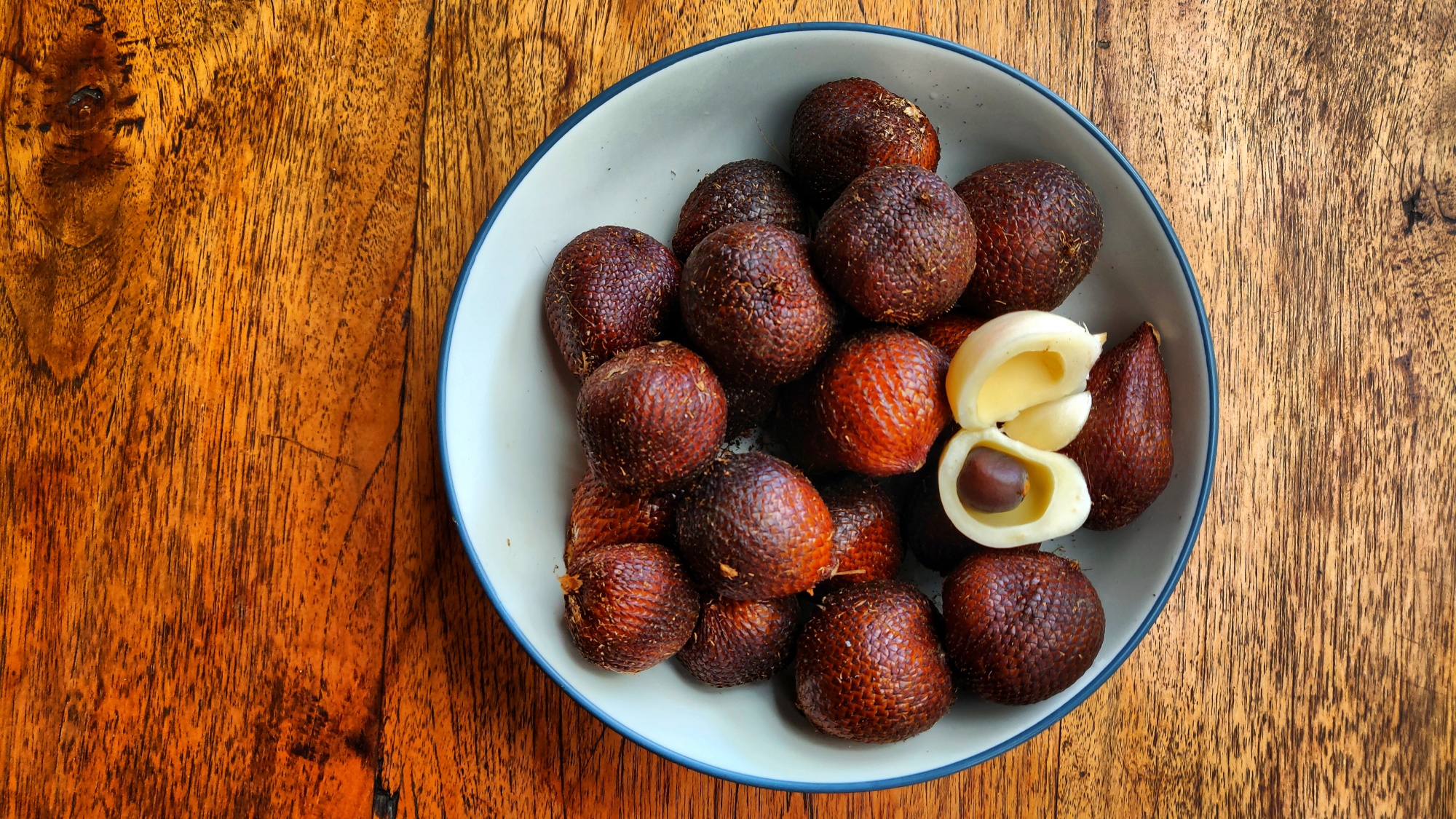 موثرترین روش نگهداری و تکثیر گیاه سالاک (پوست ماری) (2 نکته مهم) موثرترین روش نگهداری و تکثیر گیاه سالاک (پوست ماری) (2 نکته مهم)