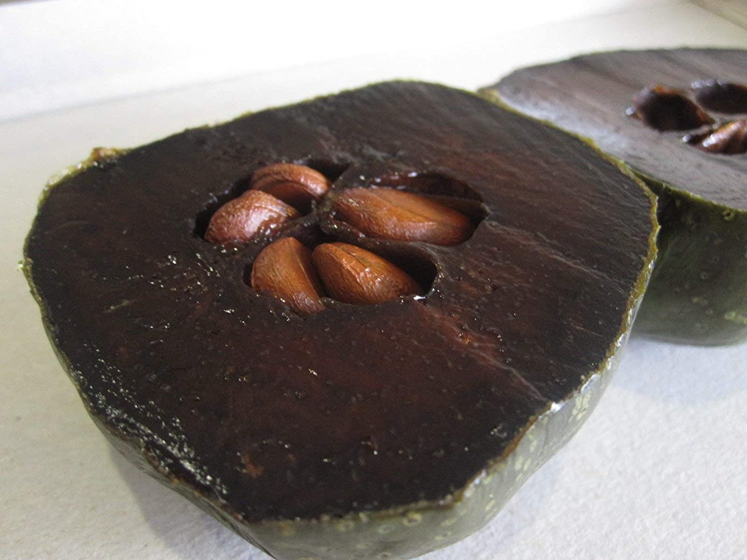 نگهداری ساپوت سیاه