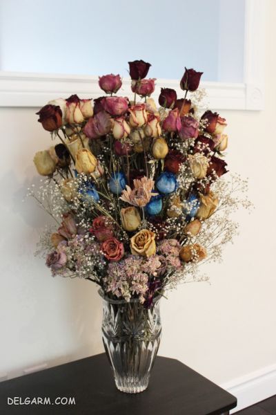 خشک کردن گل رز