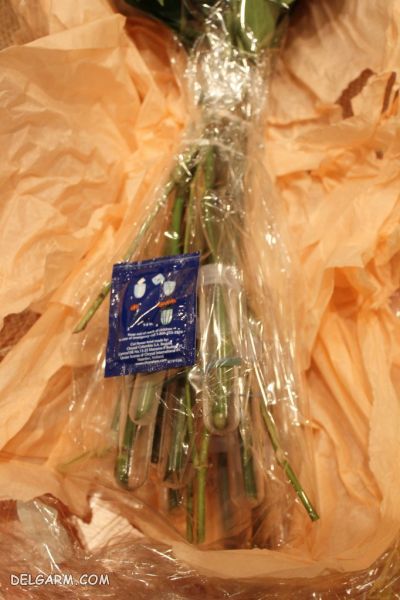 خشک کردن گل رز