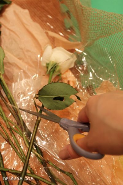 خشک کردن گل رز