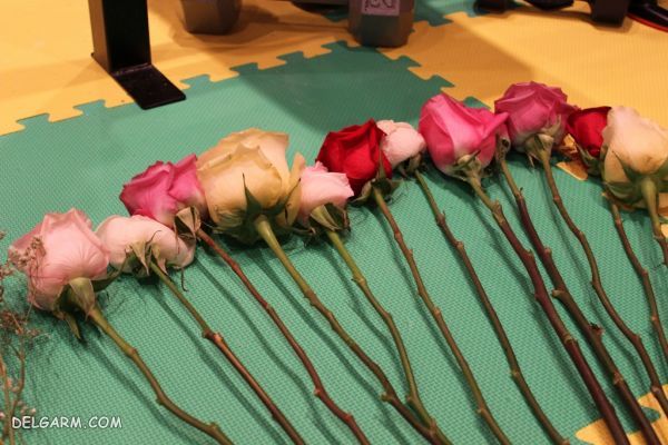 خشک کردن گل رز