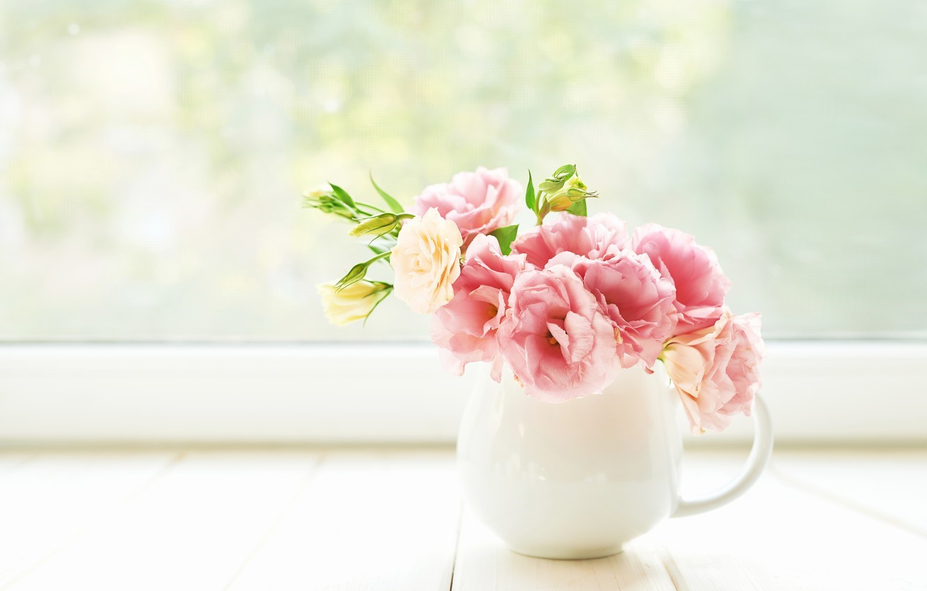 بهترین گیاهان برای مطب پزشک کدام‌اند؟ (2 نکته مهم)