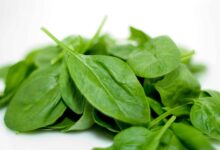 تفاوت اسفناج و برگ چغندر در چیست ؟ (2 نکته مهم)