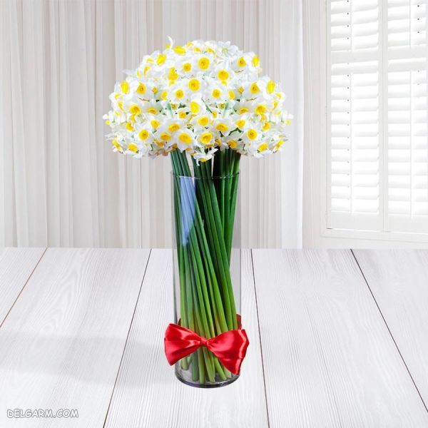بهترین گل برای هدیه دادن : چه گلی برای هدیه دادن مناسب است ؟ (2 نکته مهم) گل نرگس برای کادو دادن