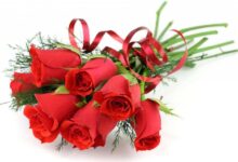بهترین گل برای هدیه دادن : چه گلی برای هدیه دادن مناسب است ؟ (2 نکته مهم)