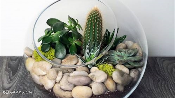 باغ شیشه ای