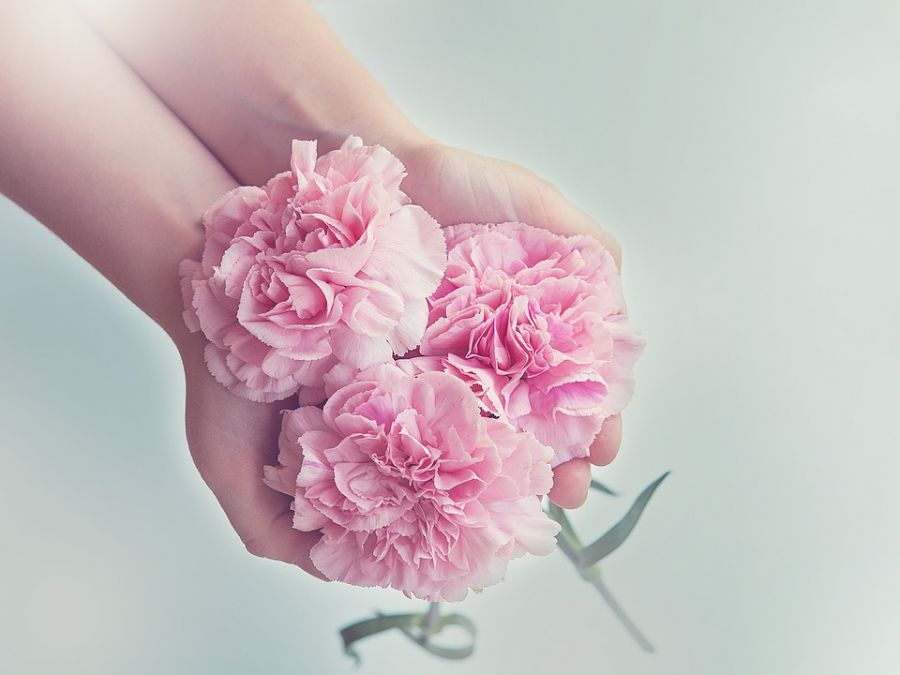 ۲۰ فایده شگفت انگیز استفاده از گل و گیاه در خانه و محل کار (2 نکته مهم)