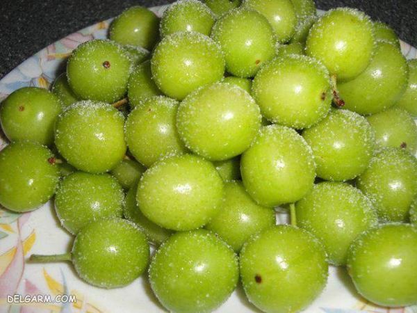 گوجه سبز 