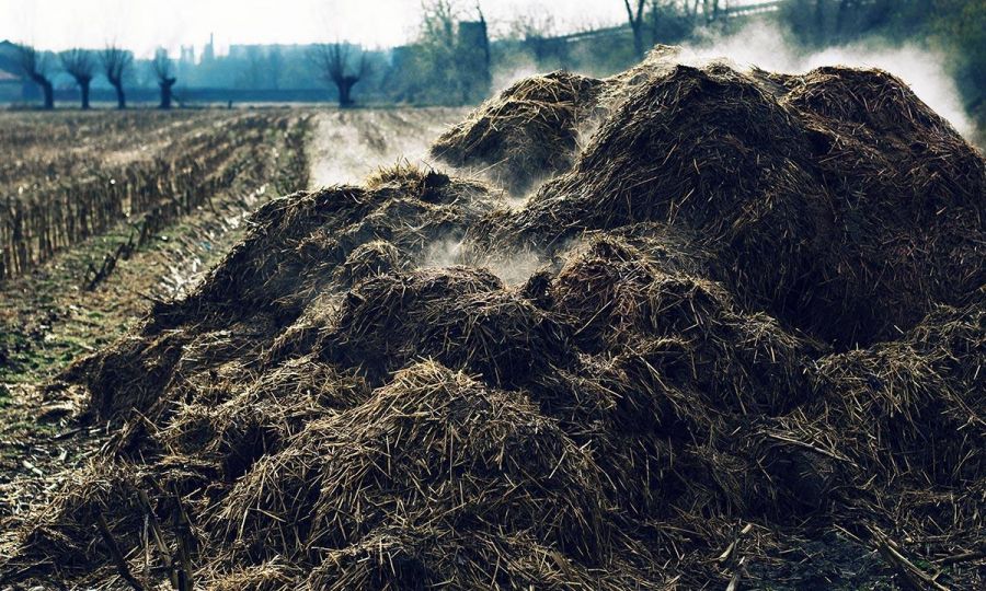 اصول صحیح پوساندن کودهای حیوانی  (2 نکته مهم)