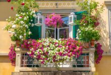 معرفی گل و گیاهان مناسب برای انواع بالکن (2 نکته مهم)