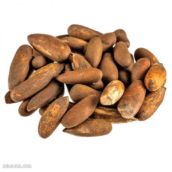 چلغوز