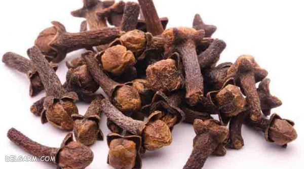 میخک خشک
