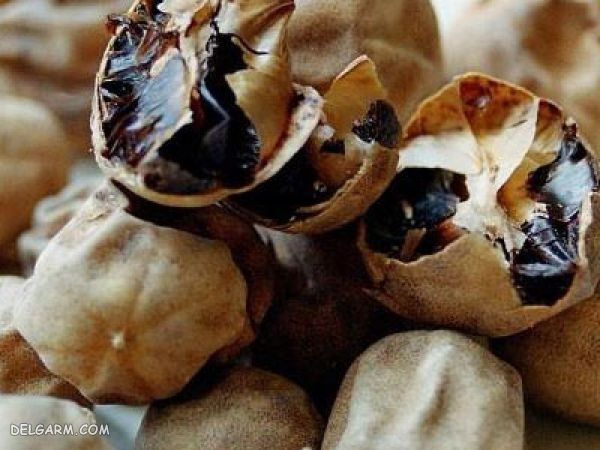 لیمو خشک