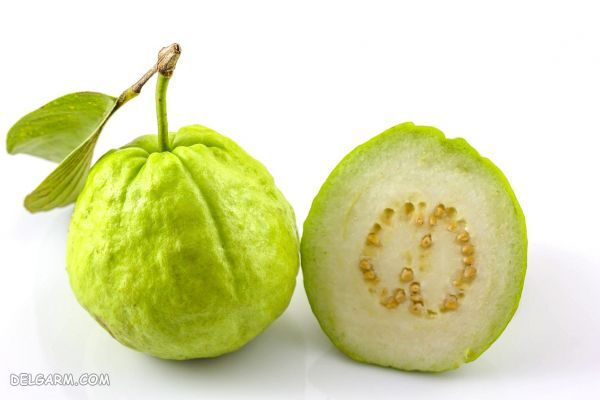 میوه