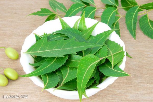 خواص چریش
