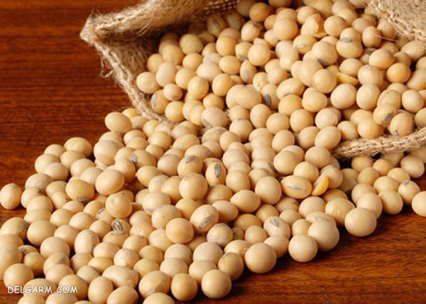 برداشت سویا