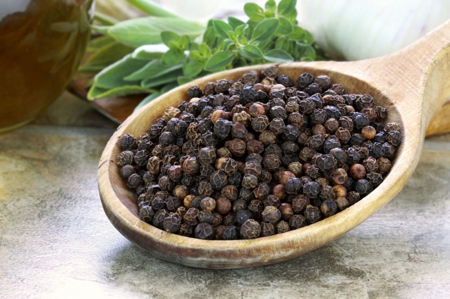 چگونه فلفل سیاه بکاریم؟  (2 نکته مهم)